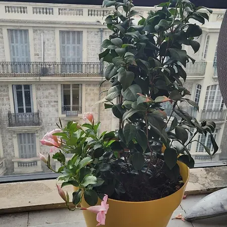 Pretty Flat, 100m Promenade In City Center